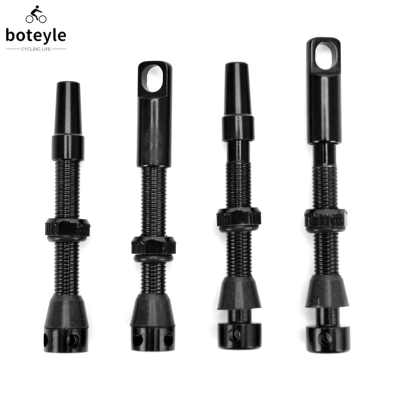 Valvole Presta Tubeless per bi - Tubeless Valve Core recensione e prezzo