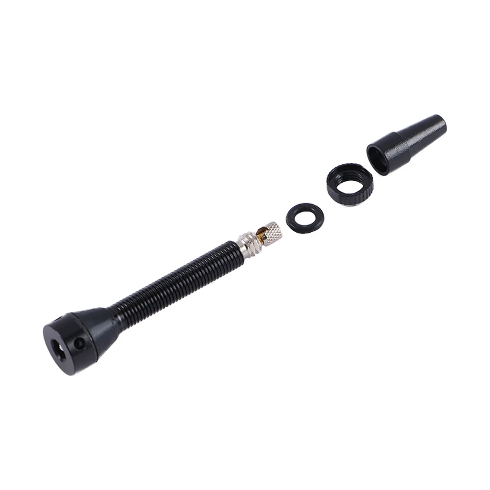 Valvole Presta Tubeless per bi - Tubeless Valve Core recensione e prezzo