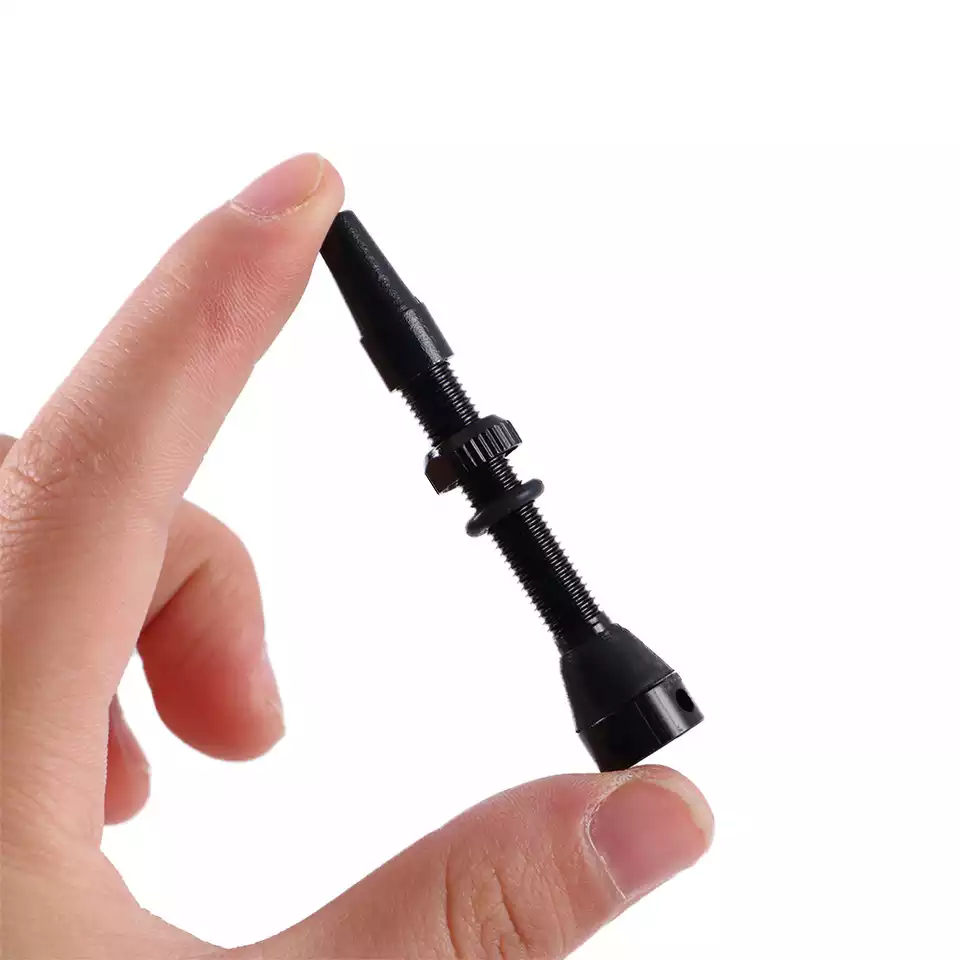Valvole Presta Tubeless per bi - Tubeless Valve Core recensione e prezzo