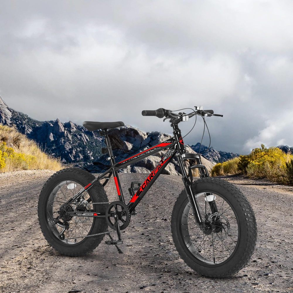 Mountain bike per bambini e ad - Mountain Biking For Kids recensione e prezzo