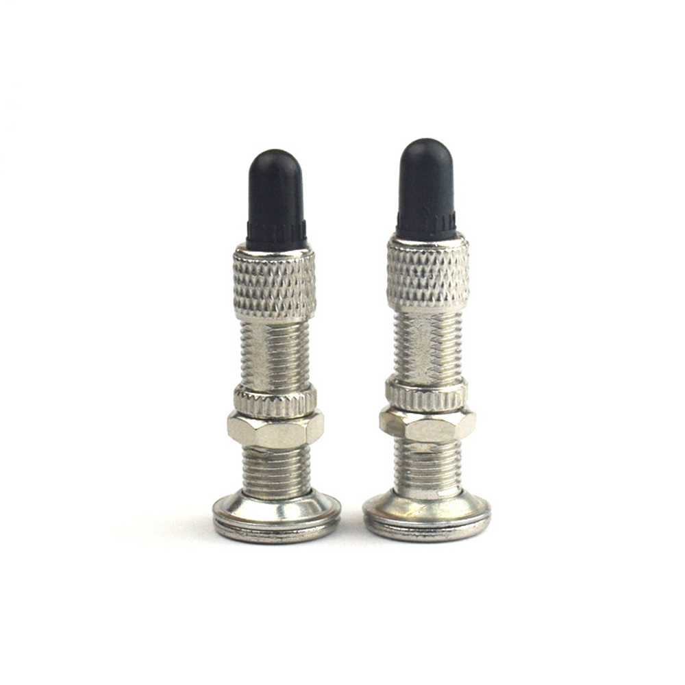 2 pz valvola del pneumatico st - Tubeless Valve Core recensione e prezzo