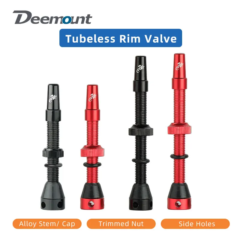 Valvola Tubeless F/V per Bicic - Tubeless Valve Core recensione e prezzo